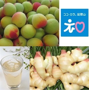 和歌山の魅力たっぷり！梅と新生姜で楽しむ季節の手仕事