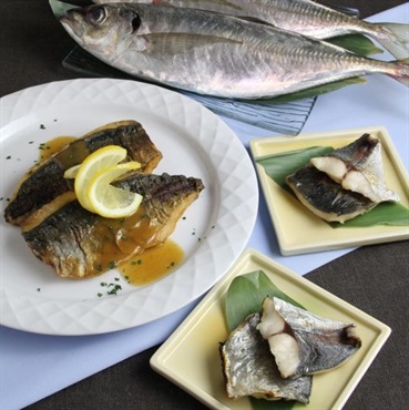 アジの三枚おろし