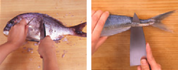 魚の下処理 料理の基本 大阪ガスクッキングスクール
